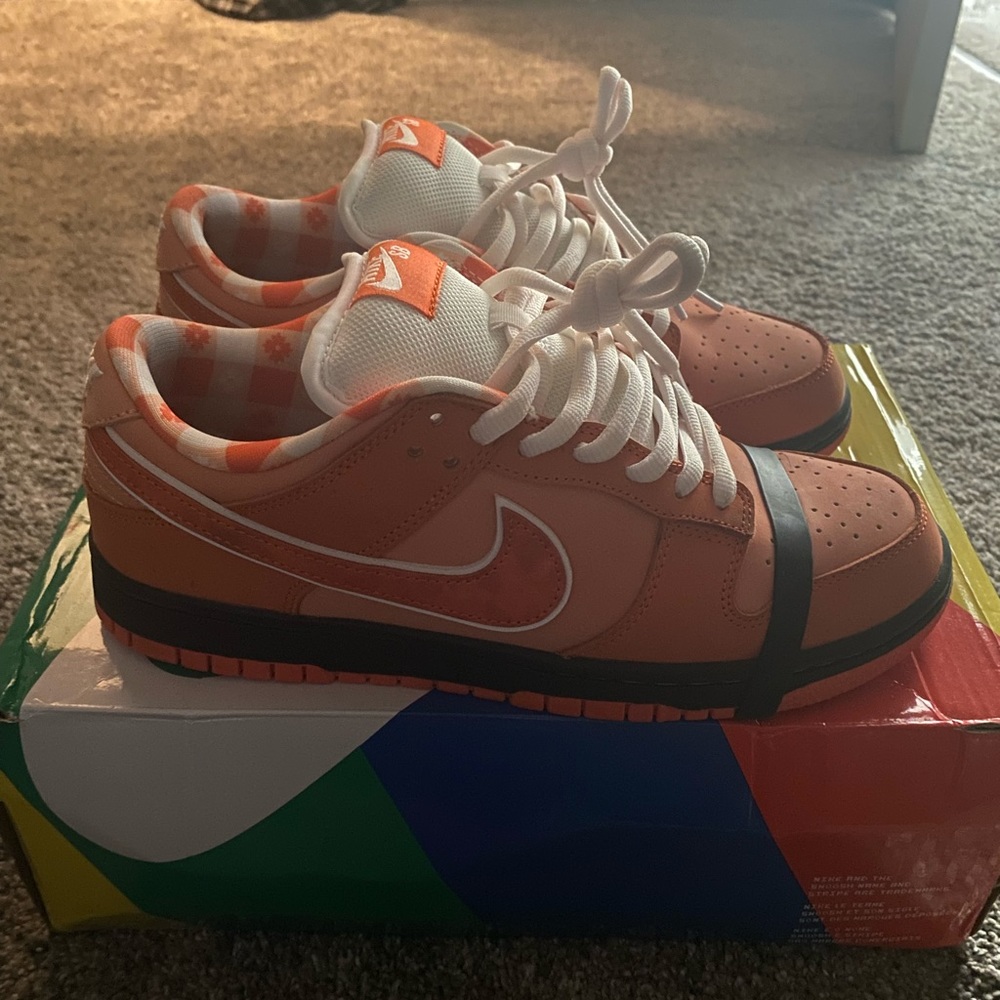 nike Lobster SB Orange